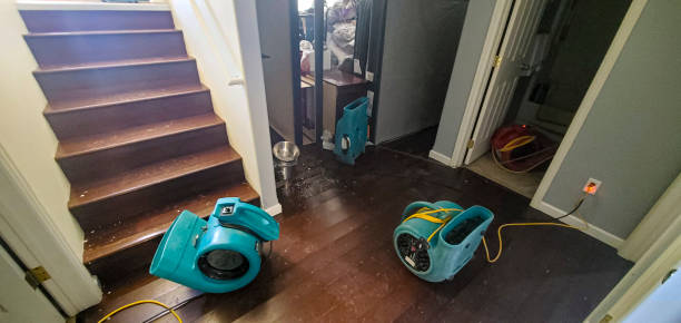 Best Fire Damage Restoration  in Northfield, OH