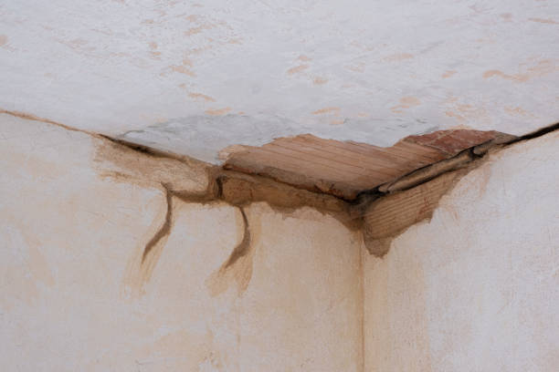 Best Commercial water damage restoration  in Northfield, OH