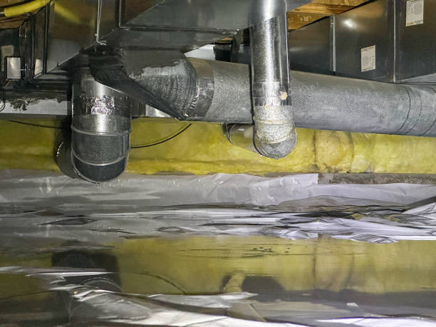 Best Carpet water damage restoration  in Northfield, OH