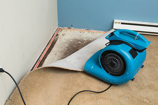 Best Water damage repair service  in Northfield, OH